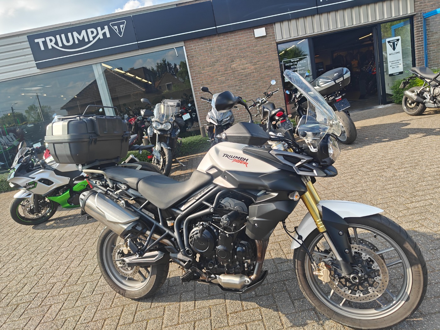 Tiger 800