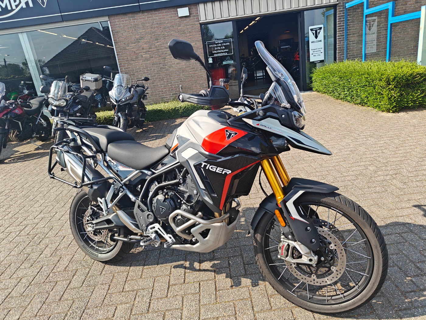 Tiger 900 Rally Pro