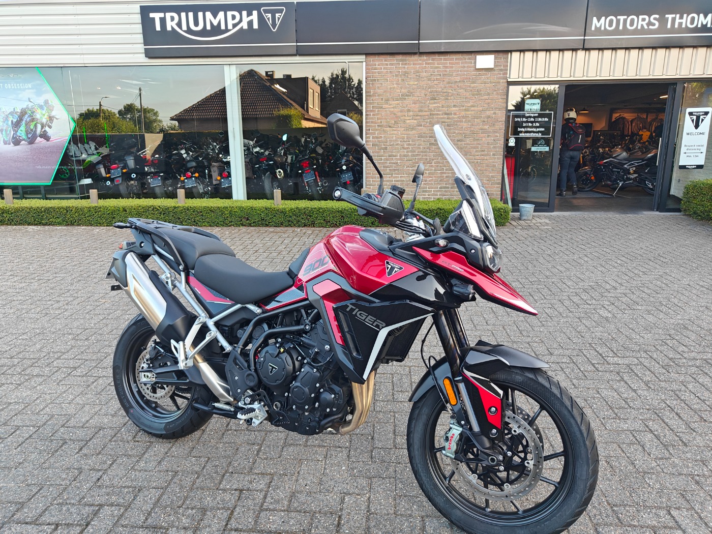 Tiger 900 GT Pro