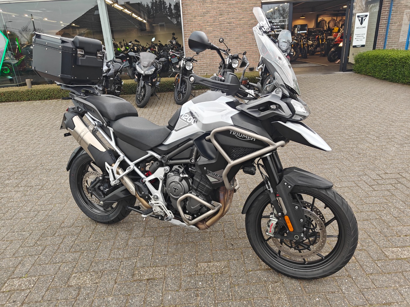 Tiger 1200 GT Pro