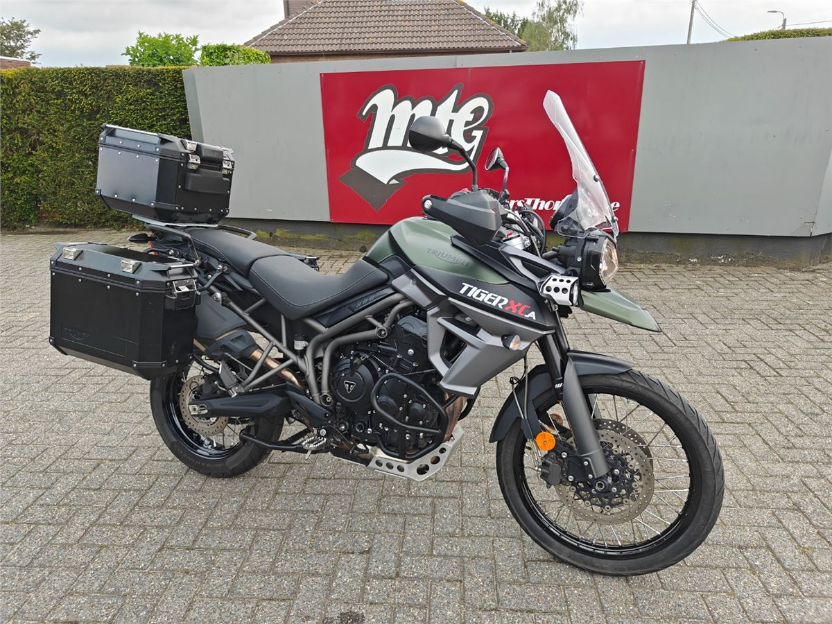 Tiger 800XCA